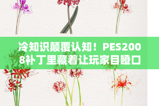 冷知识颠覆认知!PES2008补丁里藏着让玩家目瞪口呆的定时炸弹 冷知识颠覆认知!PES2008补丁里藏着让玩家目瞪口呆的定时炸弹