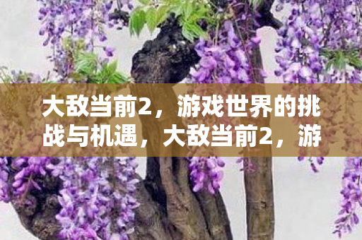 大敌当前2，游戏世界的挑战与机遇，大敌当前2，游戏世界的挑战与机遇
