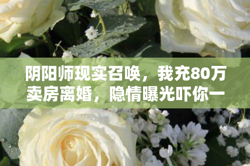 我充80万卖房离婚图片