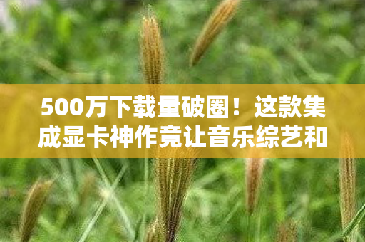 500万下载量破圈！这款集成显卡神作竟让音乐综艺和秀场集体沦陷