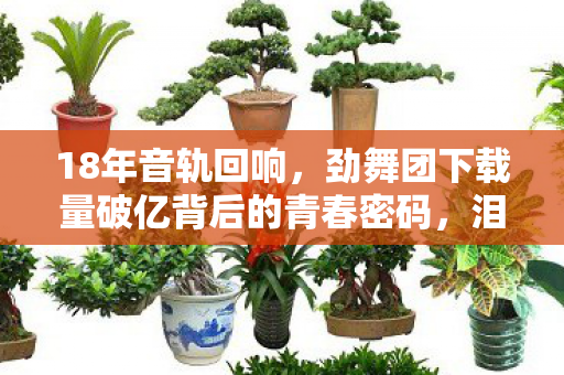劲舞团下载量破亿背后的青春密码图片