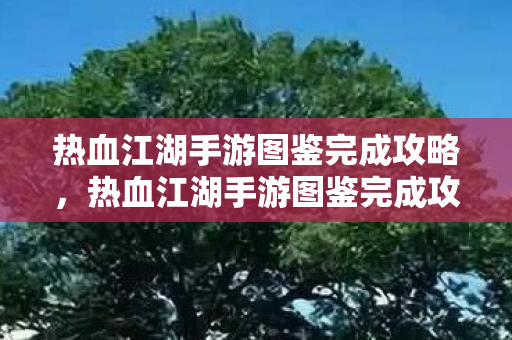热血江湖手游图鉴完成攻略,热血江湖手游图鉴完成攻略,解锁角色与道具,打造你的江湖之旅 热血江湖手游图鉴完成攻略,热血江湖手游图鉴完成攻略,解锁角色与道具,打造你的江湖之旅