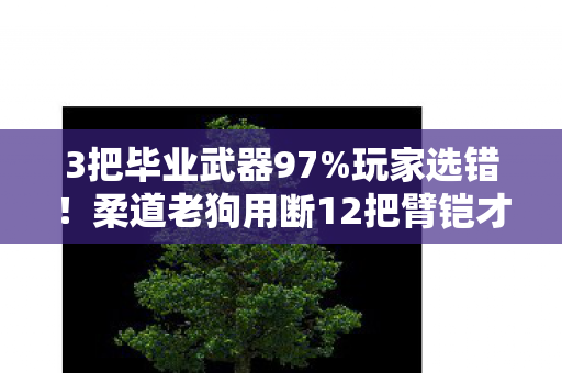 3把毕业武器97%玩家选错!柔道老狗用断12把臂铠才懂,伤害竟是最后一位 3把毕业武器97%玩家选错!柔道老狗用断12把臂铠才懂,伤害竟是最后一位