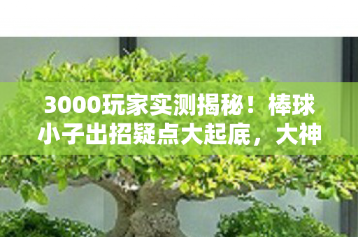 3000玩家实测揭秘!棒球小子出招疑点大起底,大神都绷不住了 3000玩家实测揭秘!棒球小子出招疑点大起底,大神都绷不住了