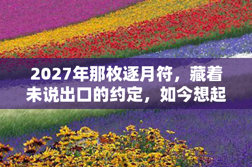 2027年那枚逐月符,藏着未说出口的约定,如今想起鼻子一酸 2027年那枚逐月符,藏着未说出口的约定,如今想起鼻子一酸