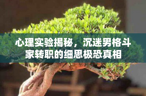 沉迷男格斗家转职的细思极恐真相图片