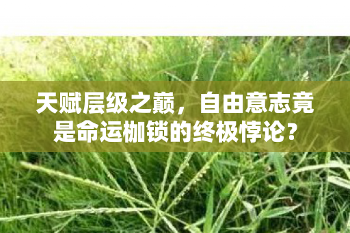 天赋层级之巅,自由意志竟是命运枷锁的终极悖论? 天赋层级之巅,自由意志竟是命运枷锁的终极悖论?