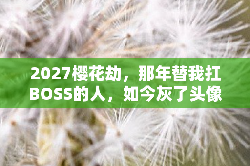 2027樱花劫,那年替我扛BOSS的人,如今灰了头像却让我鼻子一酸 2027樱花劫,那年替我扛BOSS的人,如今灰了头像却让我鼻子一酸