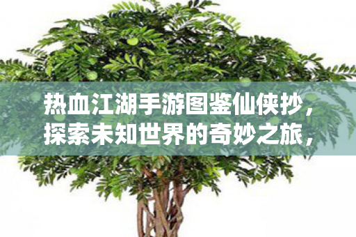 热血江湖手游图鉴仙侠抄,探索未知世界的奇妙之旅,热血江湖手游,探索仙侠世界的奇妙之旅 热血江湖手游图鉴仙侠抄,探索未知世界的奇妙之旅,热血江湖手游,探索仙侠世界的奇妙之旅
