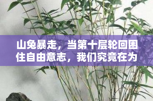 山兔暴走,当第十层轮回困住自由意志,我们究竟在为何而战? 山兔暴走,当第十层轮回困住自由意志,我们究竟在为何而战?