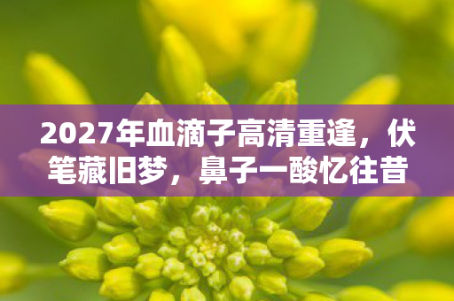2027年血滴子高清重逢,伏笔藏旧梦,鼻子一酸忆往昔 2027年血滴子高清重逢,伏笔藏旧梦,鼻子一酸忆往昔