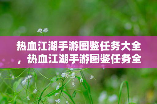 热血江湖手游图鉴任务全解析图片