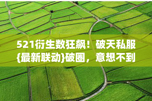 521衍生数狂飙图片