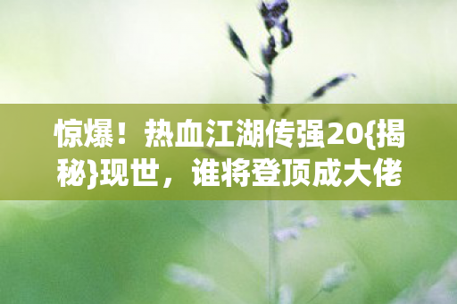 热血江湖传强20图片