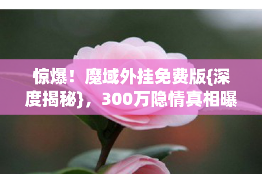 300万隐情真相曝光图片