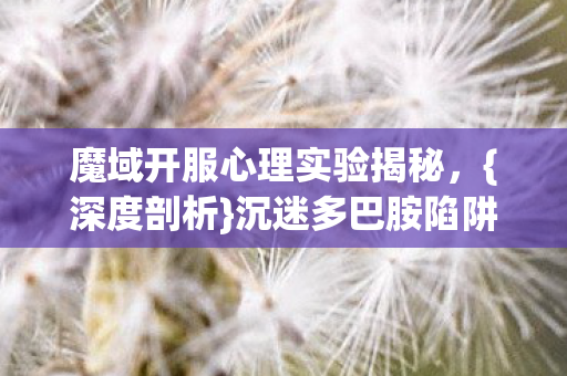 魔域开服心理实验揭秘图片