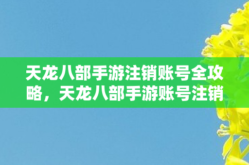 天龙八部手游注销账号全攻略图片