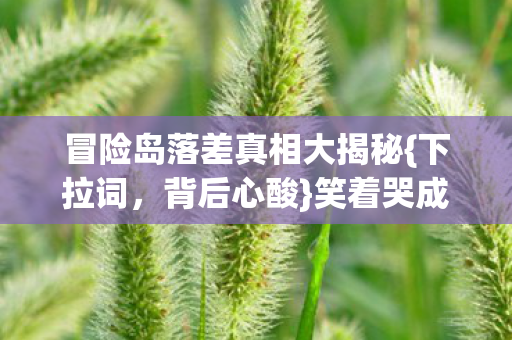 冒险岛落差真相大揭秘图片