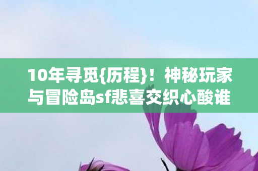 神秘玩家与冒险岛sf悲喜交织心酸谁懂图片