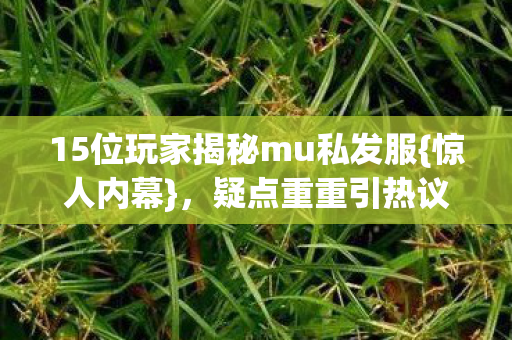 15位玩家揭秘mu私发服图片
