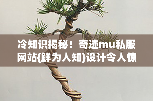 奇迹mu私服网站图片