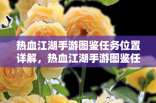 热血江湖手游图鉴任务位置全解析图片
