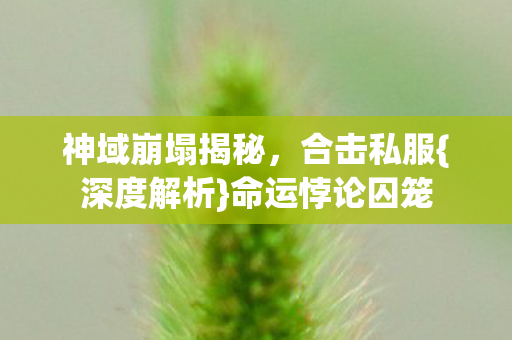 神域崩塌揭秘图片
