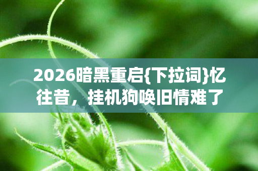 2026暗黑重启图片