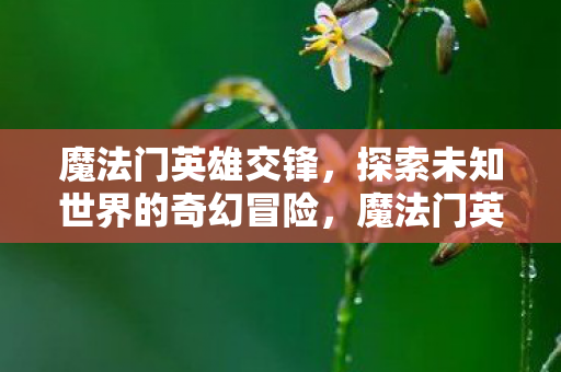 魔法门英雄交锋,探索未知世界的奇幻冒险,魔法门英雄交锋,探索未知世界的奇幻冒险 魔法门英雄交锋,探索未知世界的奇幻冒险,魔法门英雄交锋,探索未知世界的奇幻冒险