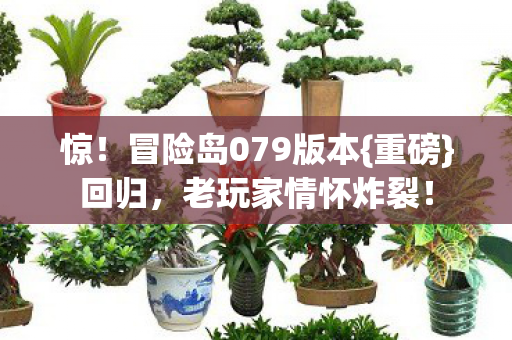 冒险岛079版本图片