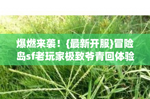 冒险岛sf老玩家极致爷青回体验图片