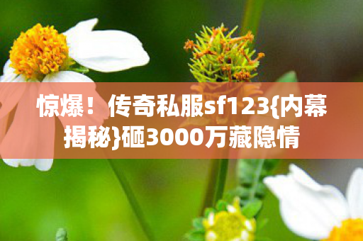 传奇私服sf123图片