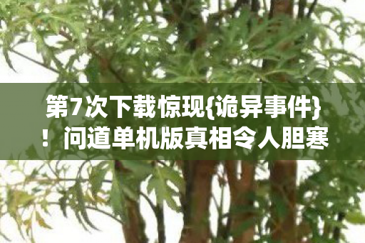 问道单机版真相令人胆寒图片