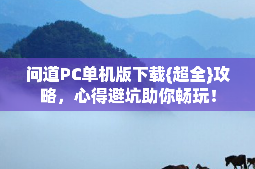问道PC单机版下载图片