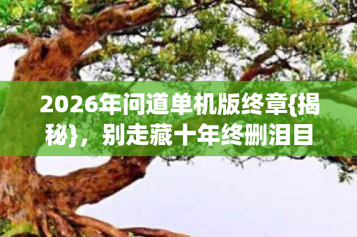 2026年问道单机版终章图片