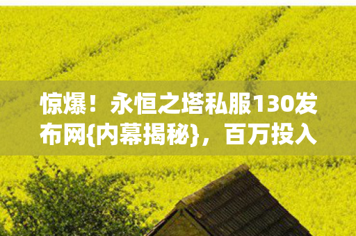 永恒之塔私服130发布网图片