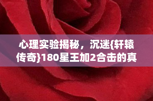 180星王加2合击的真相图片