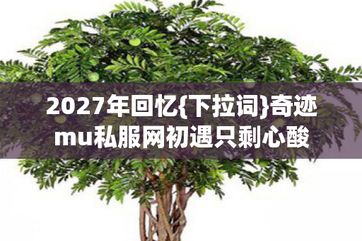 奇迹mu私服网初遇只剩心酸图片