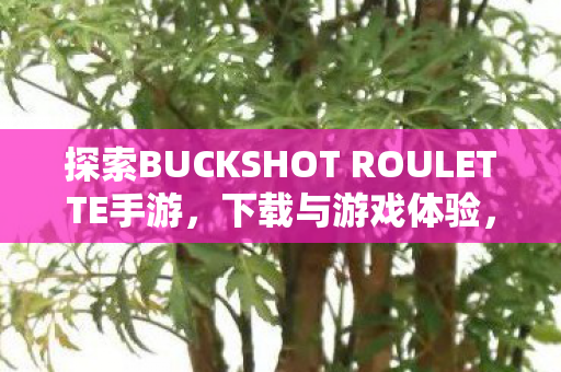 探索BUCKSHOT ROULETTE手游,下载与游戏体验,探索BUCKSHOT ROULETTE手游,下载与游戏乐趣体验 探索BUCKSHOT ROULETTE手游,下载与游戏体验,探索BUCKSHOT ROULETTE手游,下载与游戏乐趣体验