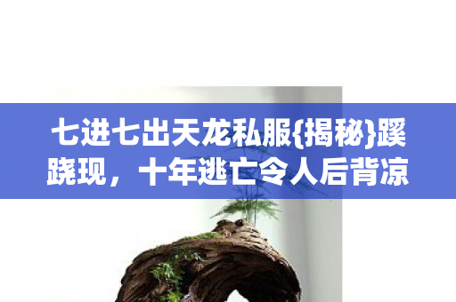 七进七出天龙私服{揭秘}蹊跷现，十年逃亡令人后背凉