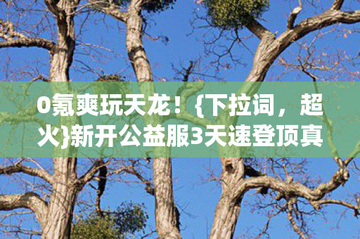0氪爽玩天龙！{下拉词，超火}新开公益服3天速登顶真香