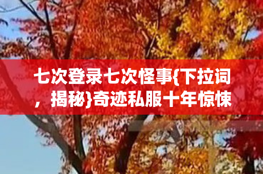 奇迹私服十年惊悚逃亡图片