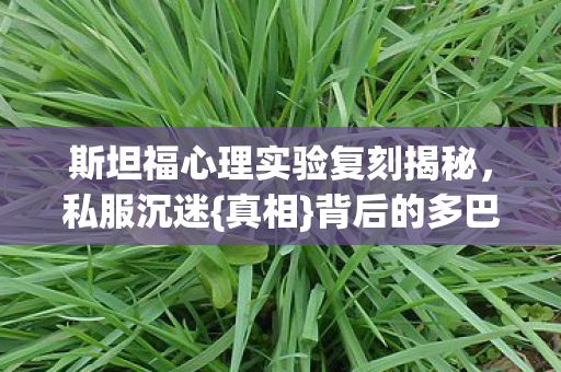 斯坦福心理实验复刻揭秘图片