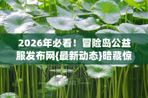 冒险岛公益服发布网图片
