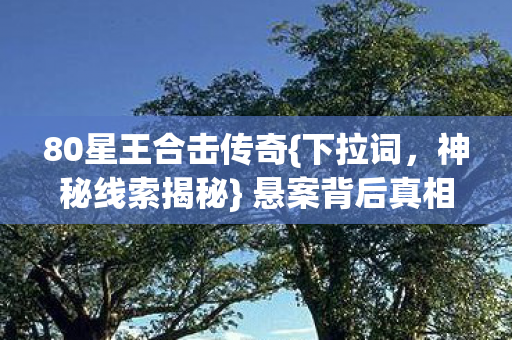 80星王合击传奇图片
