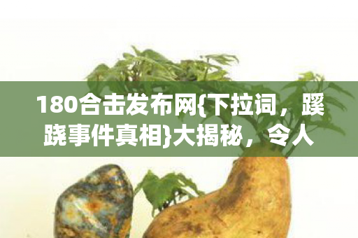 180合击发布网图片
