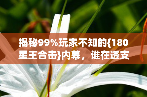 180星王合击图片