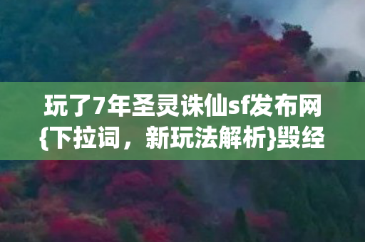玩了7年圣灵诛仙sf发布网图片