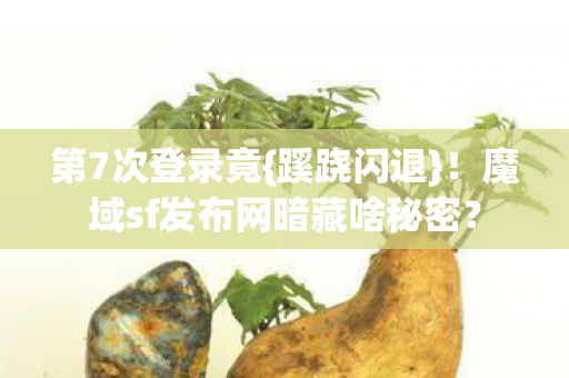 魔域sf发布网暗藏啥秘密图片