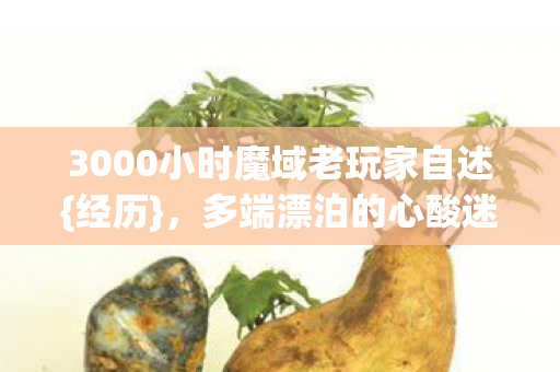 3000小时魔域老玩家自述{经历},多端漂泊的心酸迷茫 3000小时魔域老玩家自述{经历},多端漂泊的心酸迷茫